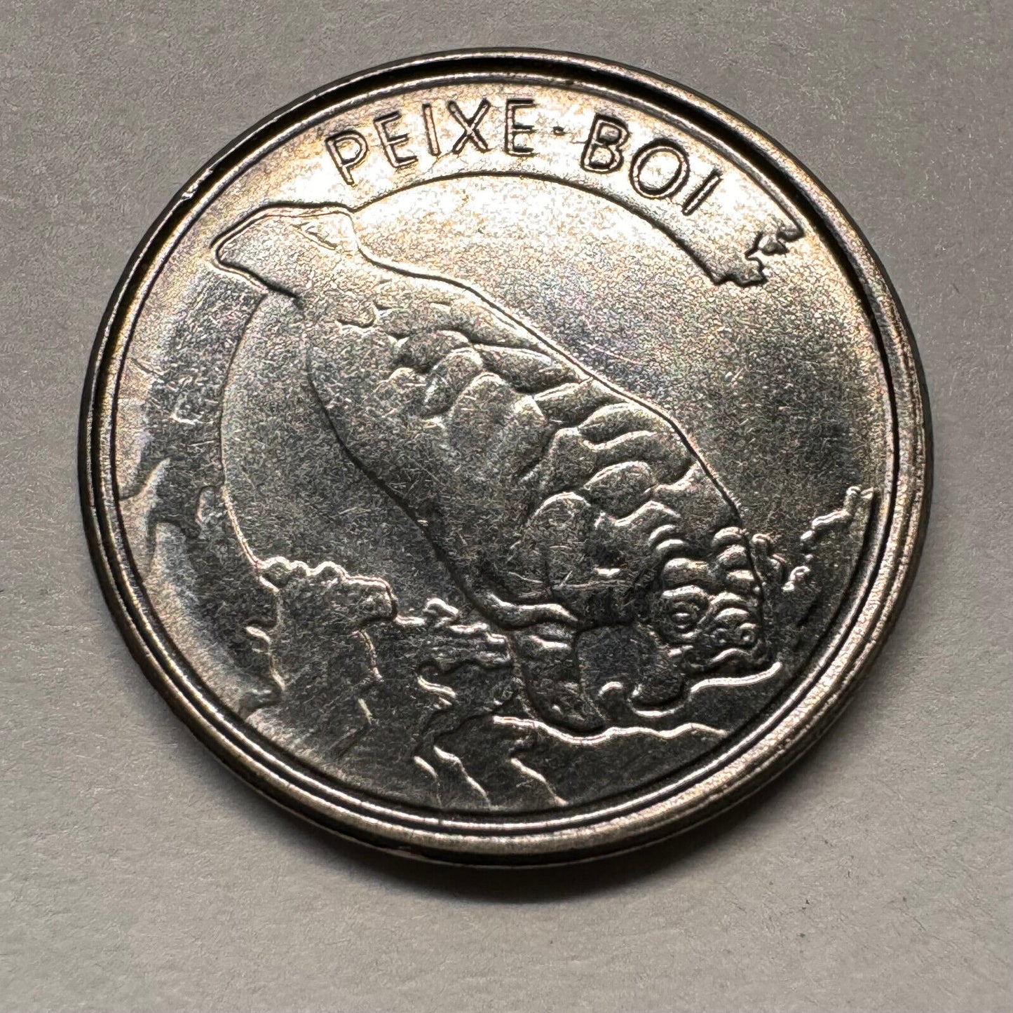 1992 Brazil 100 Cruzeiros - Beautiful Coin - #A-034