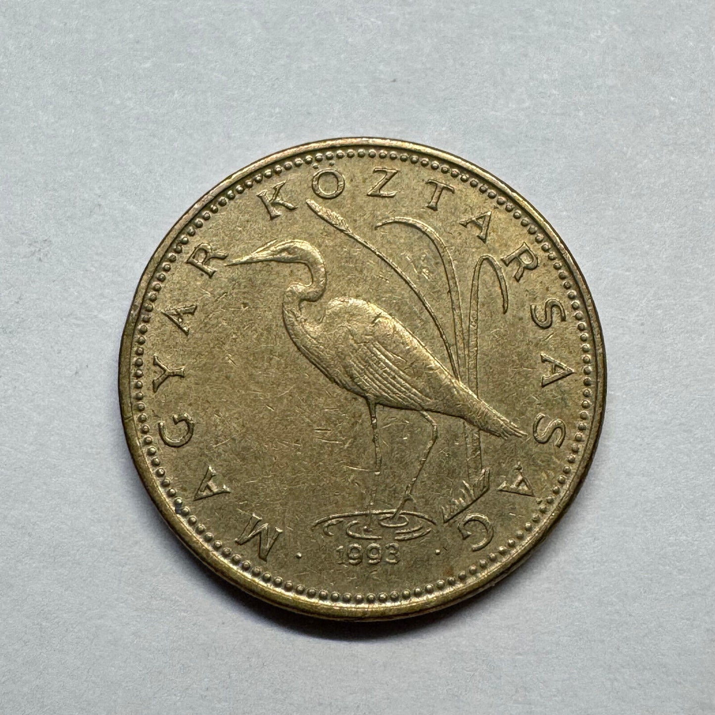 1993 Hungary 5 Forint - Beautiful Coin - #B-014