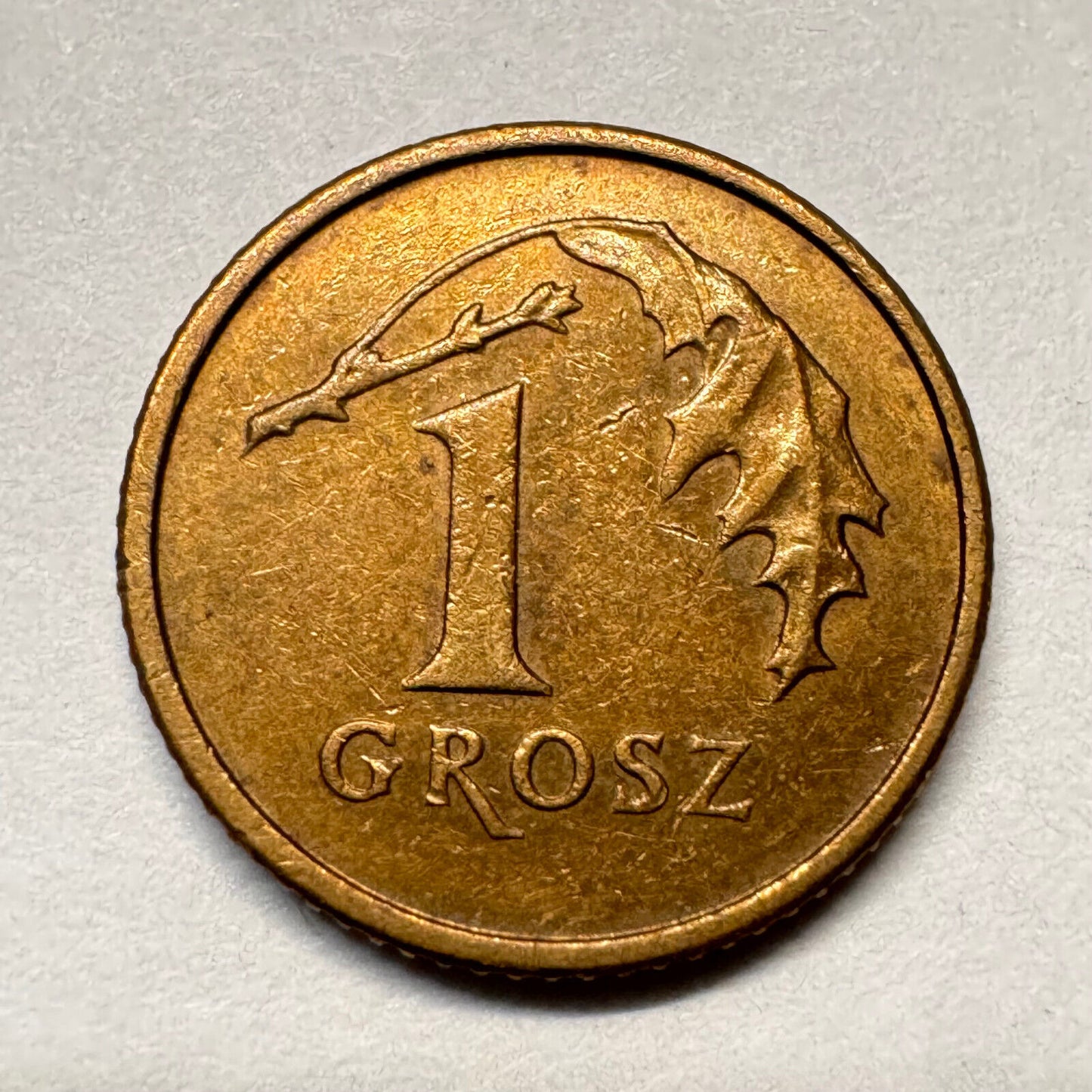 2003 Poland 1 Grosz - Beautiful Coin - #A-015