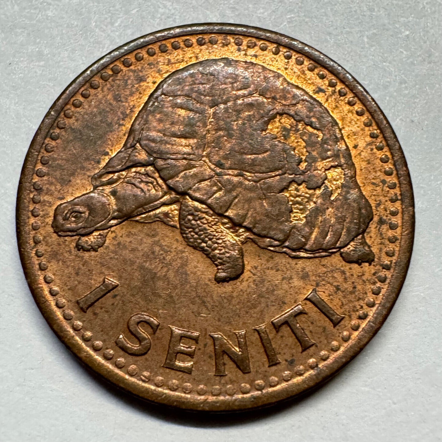 1968 Tonga 1 Seniti - Beautiful Coin - #A-077