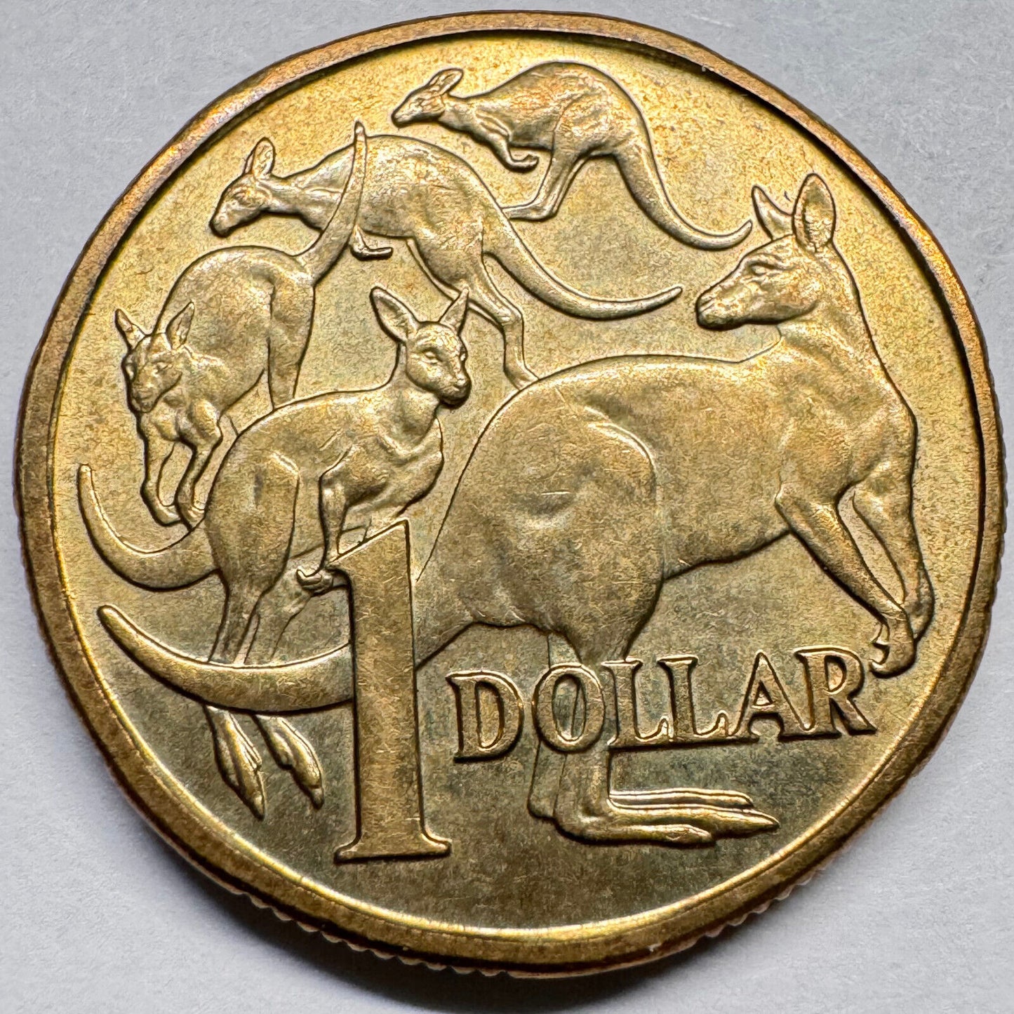 1984 Australia 1 Dollar - Beautiful Coin - #A-018