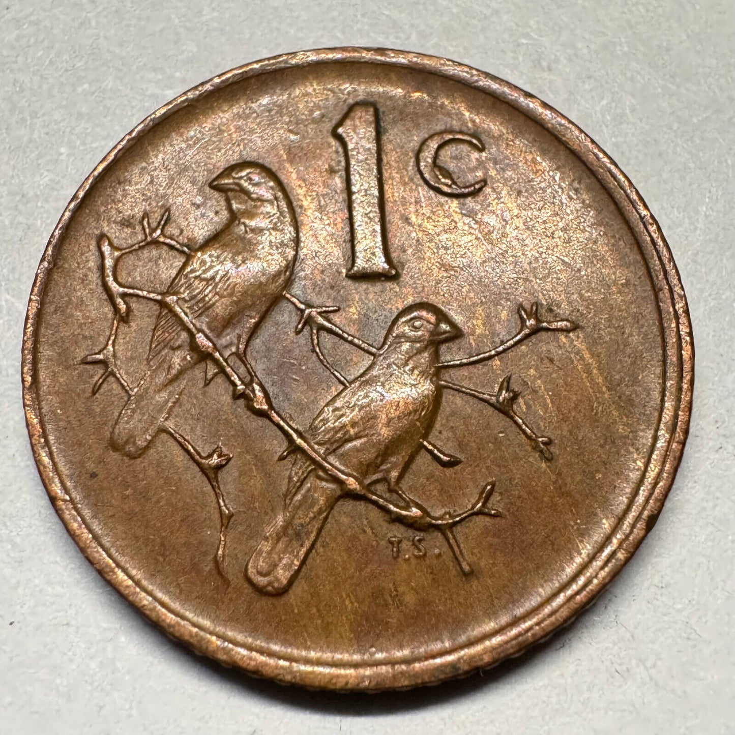 1982 South Africa 1 Cent - Beautiful Coin - #A-046