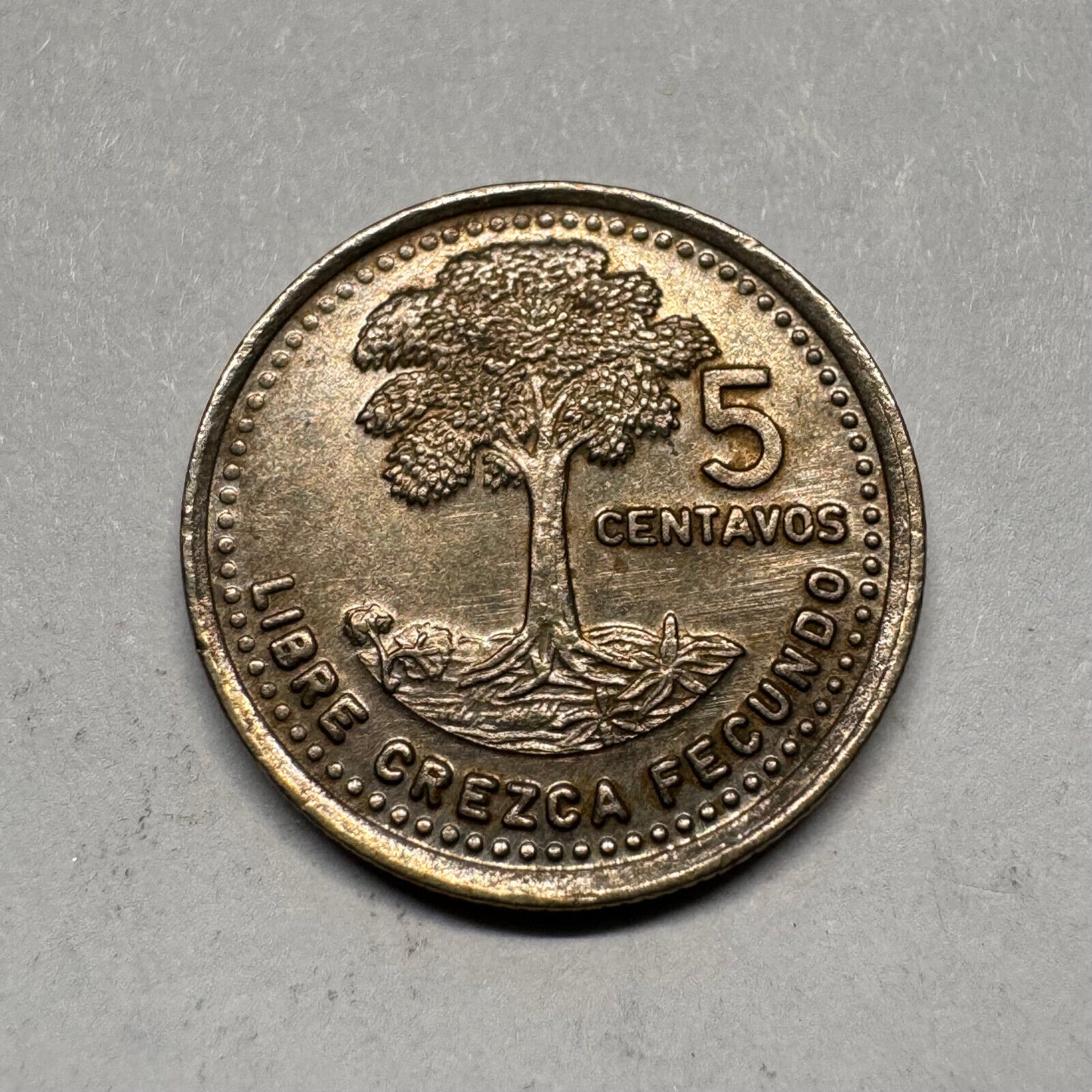 1992 Guatemala 5 Centavos - Beautiful Coin - #A-022
