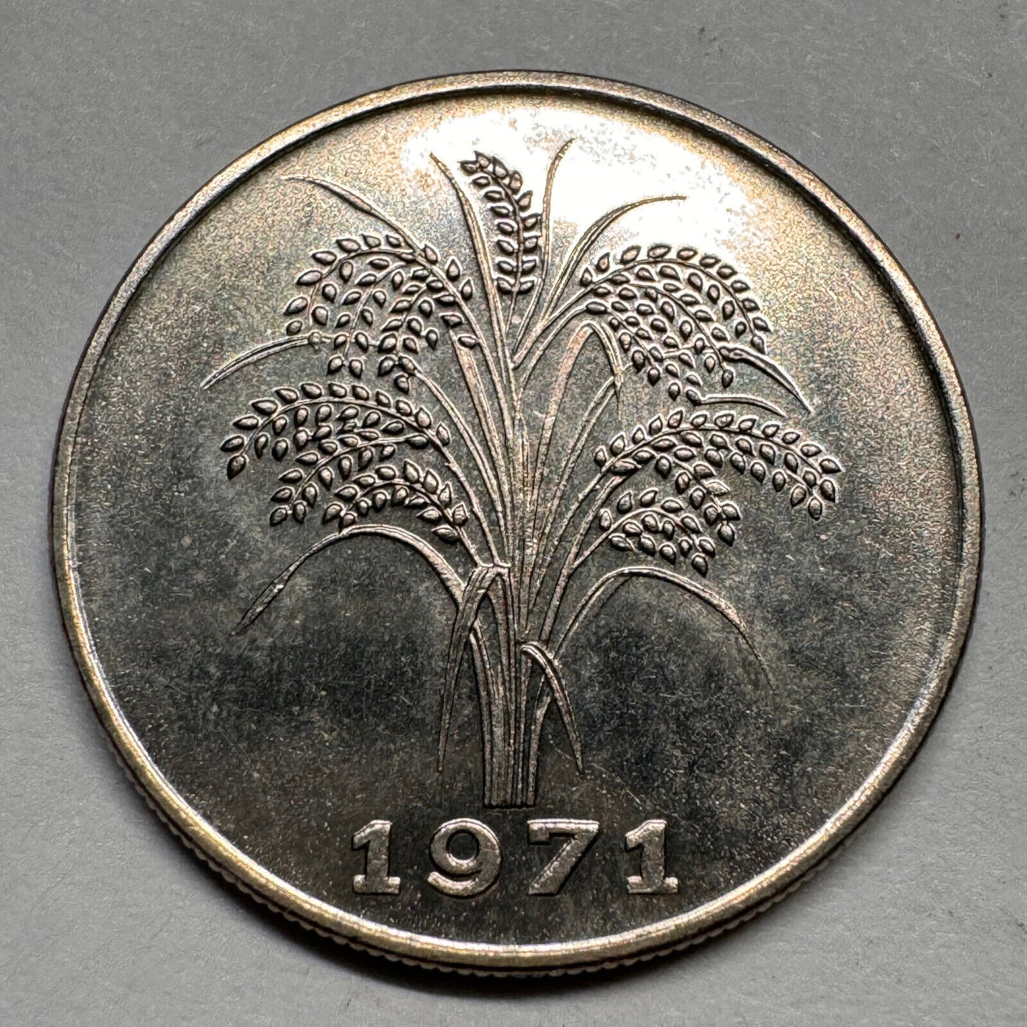 1971 Vietnam 1 Dong - Beautiful Coin - #A-036