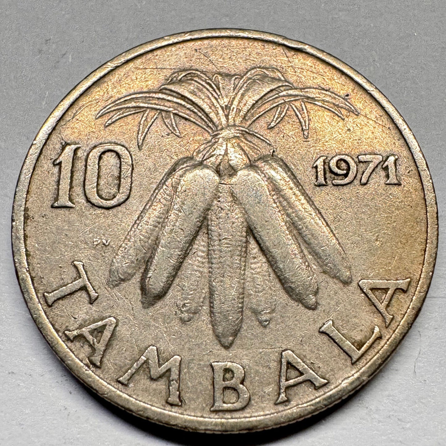 1971 Malawi 10 Tambala - Beautiful Coin - #A-020