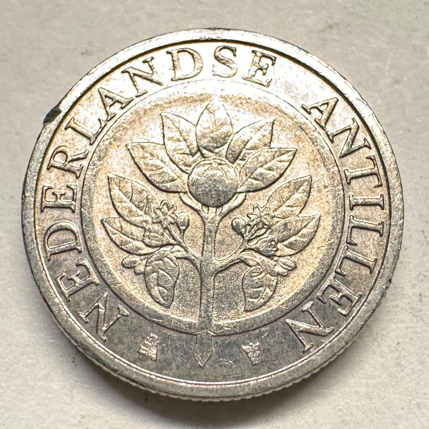 2004 Netherlands Antilles 5 Cents - Beautiful Coin - #A-026