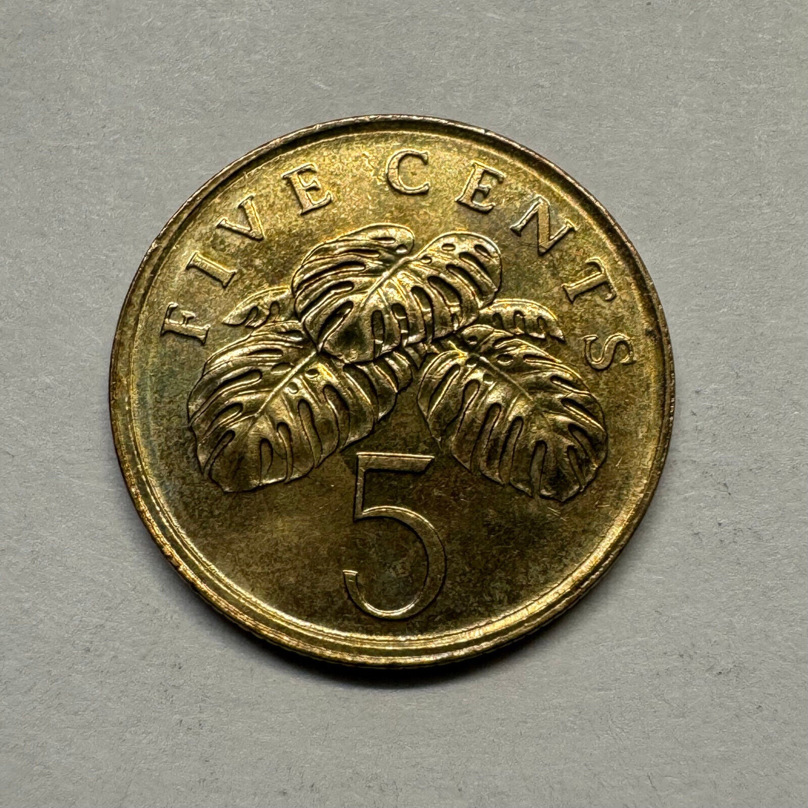 Singapore 2004 5 Cents - Beautiful Coin - #A-005