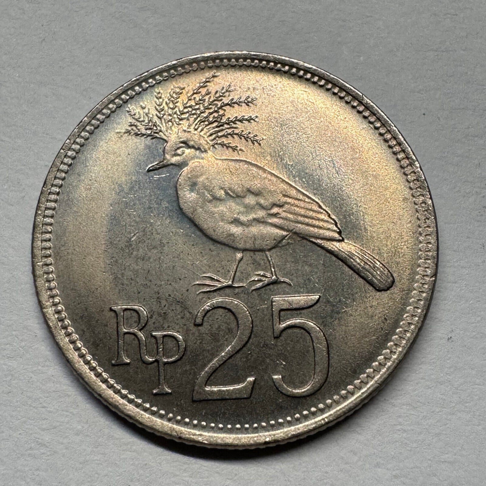 1971 Indonesia 25 Rupiah - Beautiful Coin - #B-053