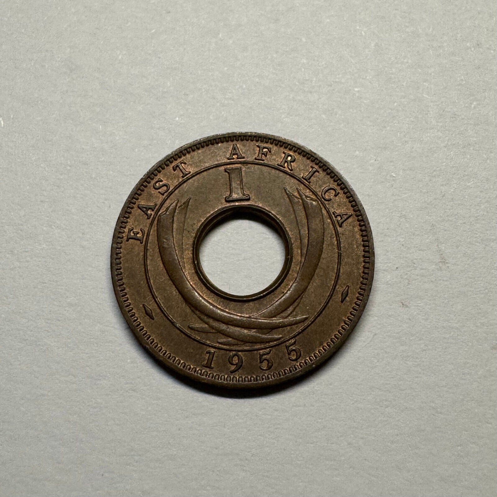 1955 East Africa 1 Cent - Beautiful Coin - #A-002
