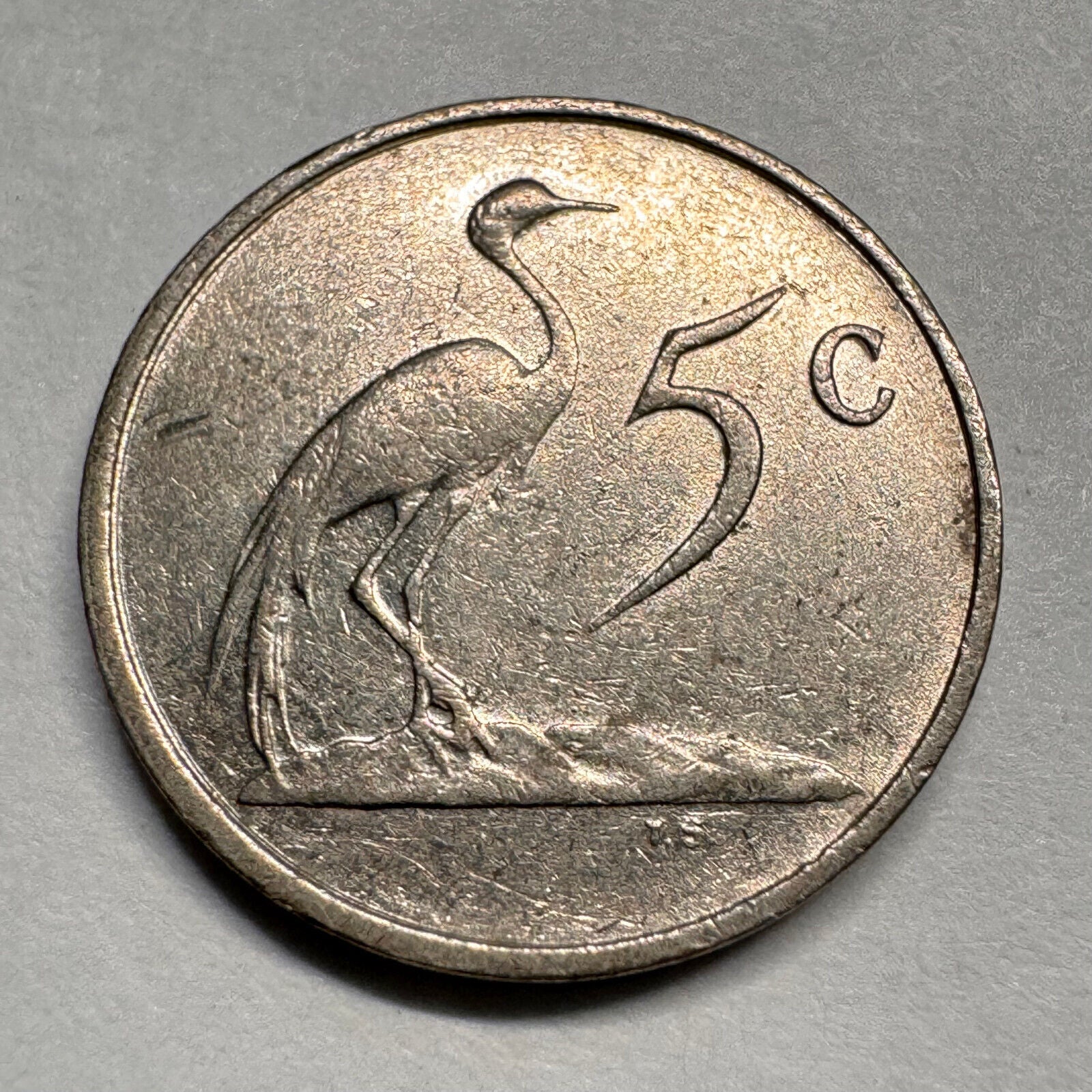 1988 South Africa 5 Cents - Beautiful Coin - #A-026