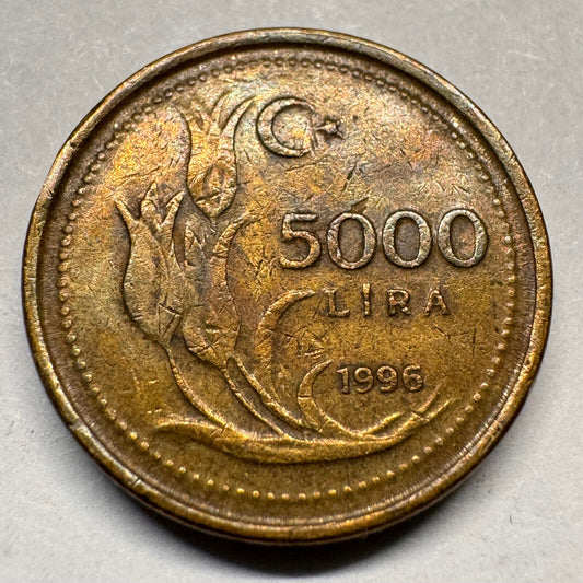 1996 Turkey 5000 Lira - Beautiful Coin - #A-031