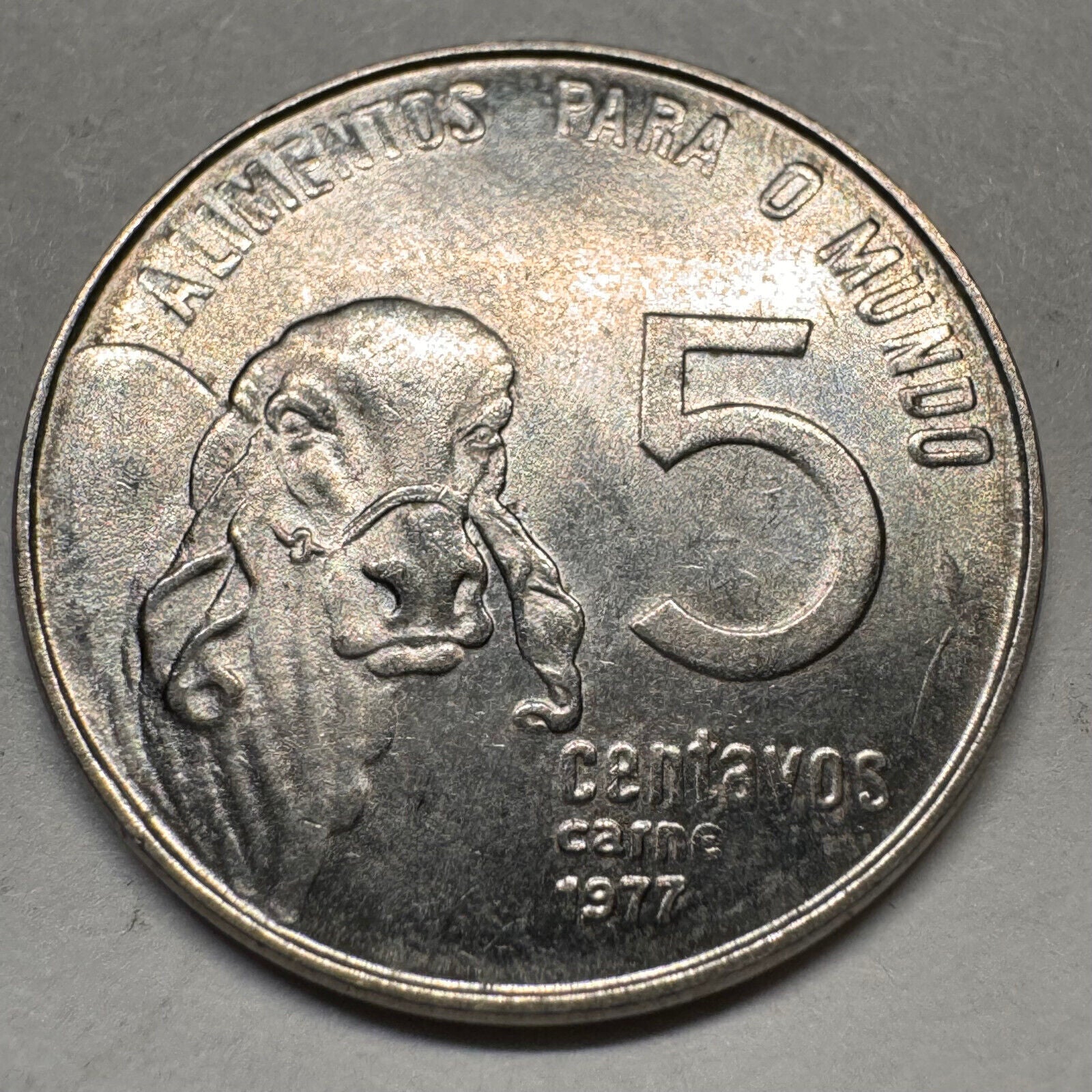1977 Brazil 5 Centavos - FAO - Beautiful Coin - #A-058
