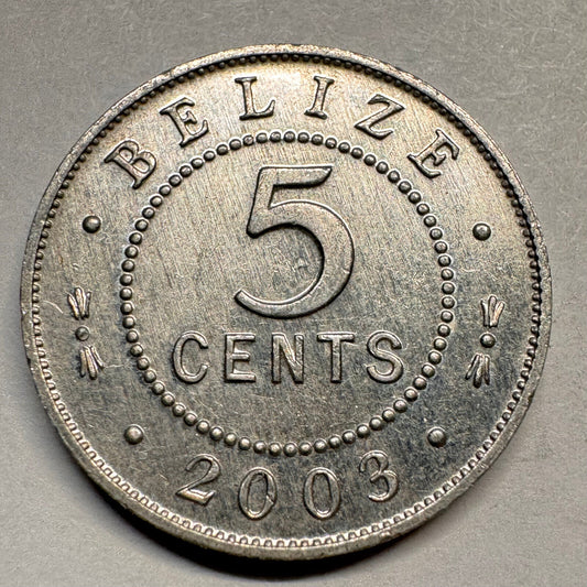 2003 Belize 5 Cents - Beautiful Coin - #A-028