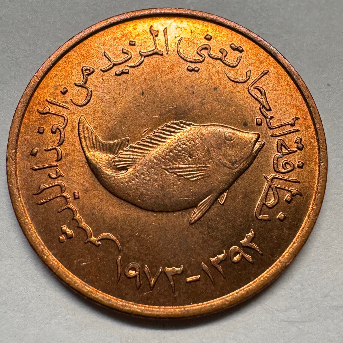 1973 United Arab Emirates 5 Fils - Beautiful Coin - #A-067