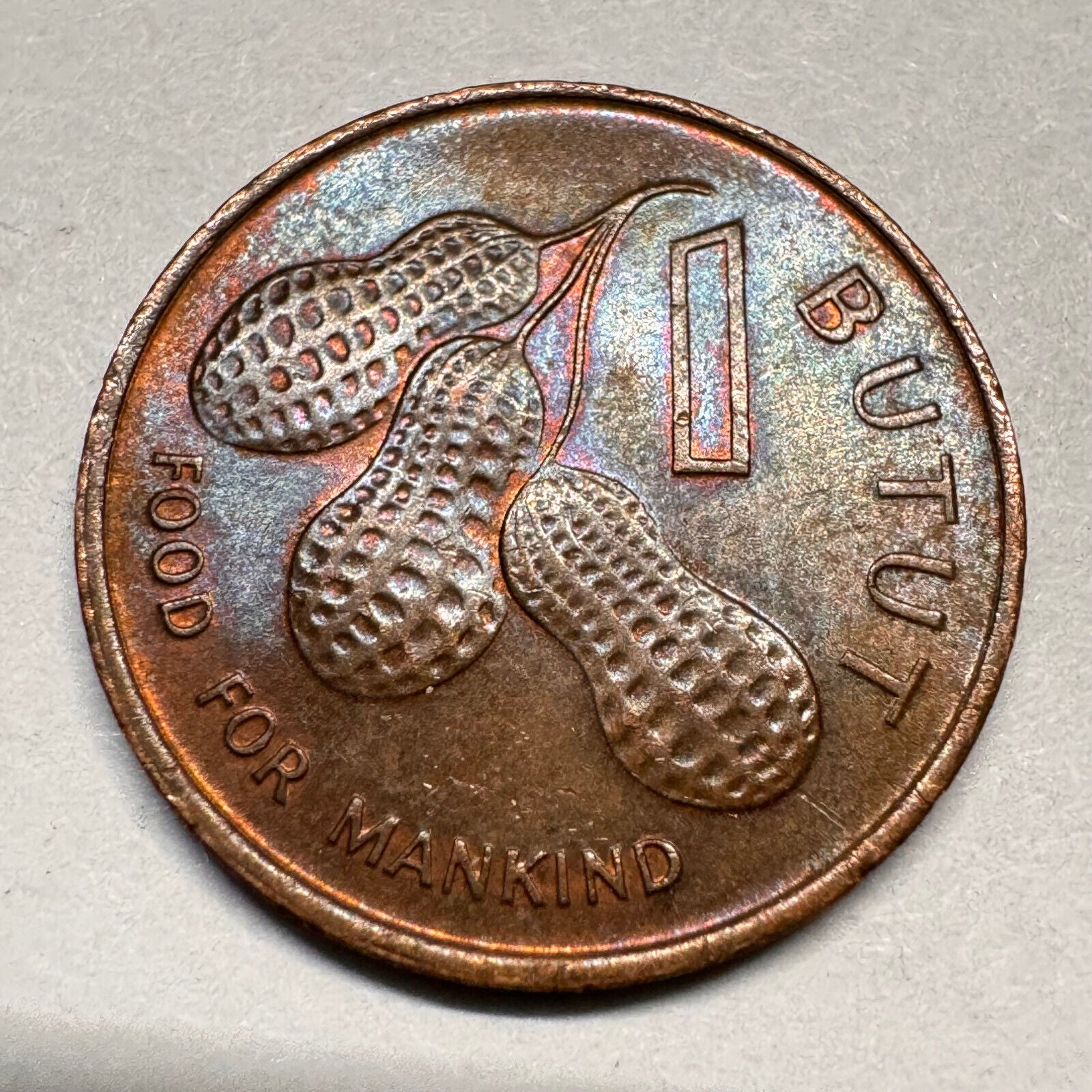 1974 Gambia 1 Butut - FAO - Beautiful Coin - #A-029