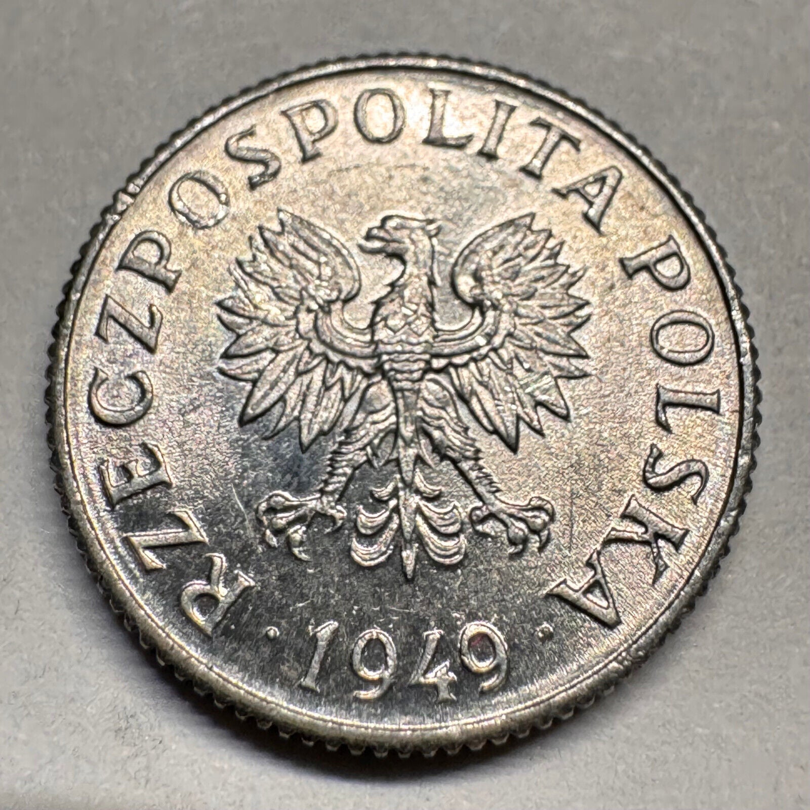 1949 Poland 1 Grosz - Beautiful Coin - #A-031
