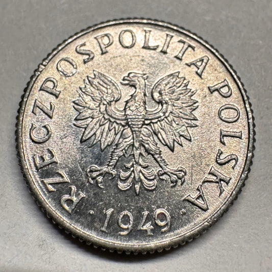 1949 Poland 1 Grosz - Beautiful Coin - #A-031