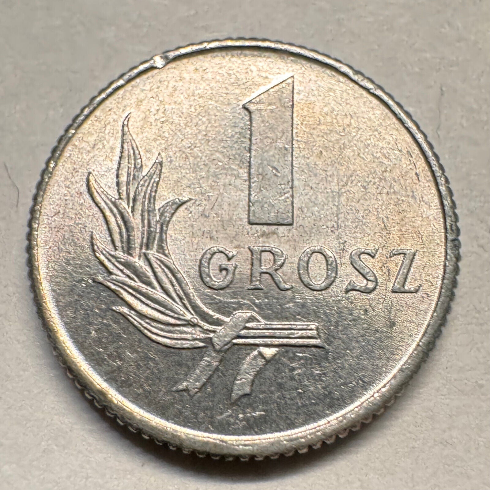 1949 Poland 1 Grosz - Beautiful Coin - #A-026