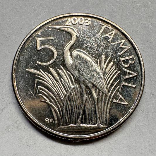 2003 Malawi 5 Tambala - Beautiful Coin - #A-028
