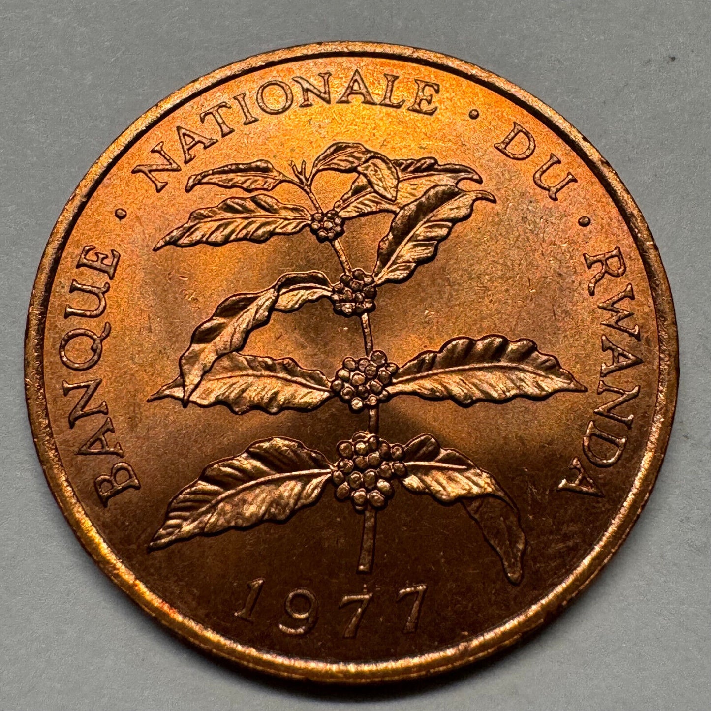 1977 Rwanda 5 Francs - Beautiful Coin - #A-047