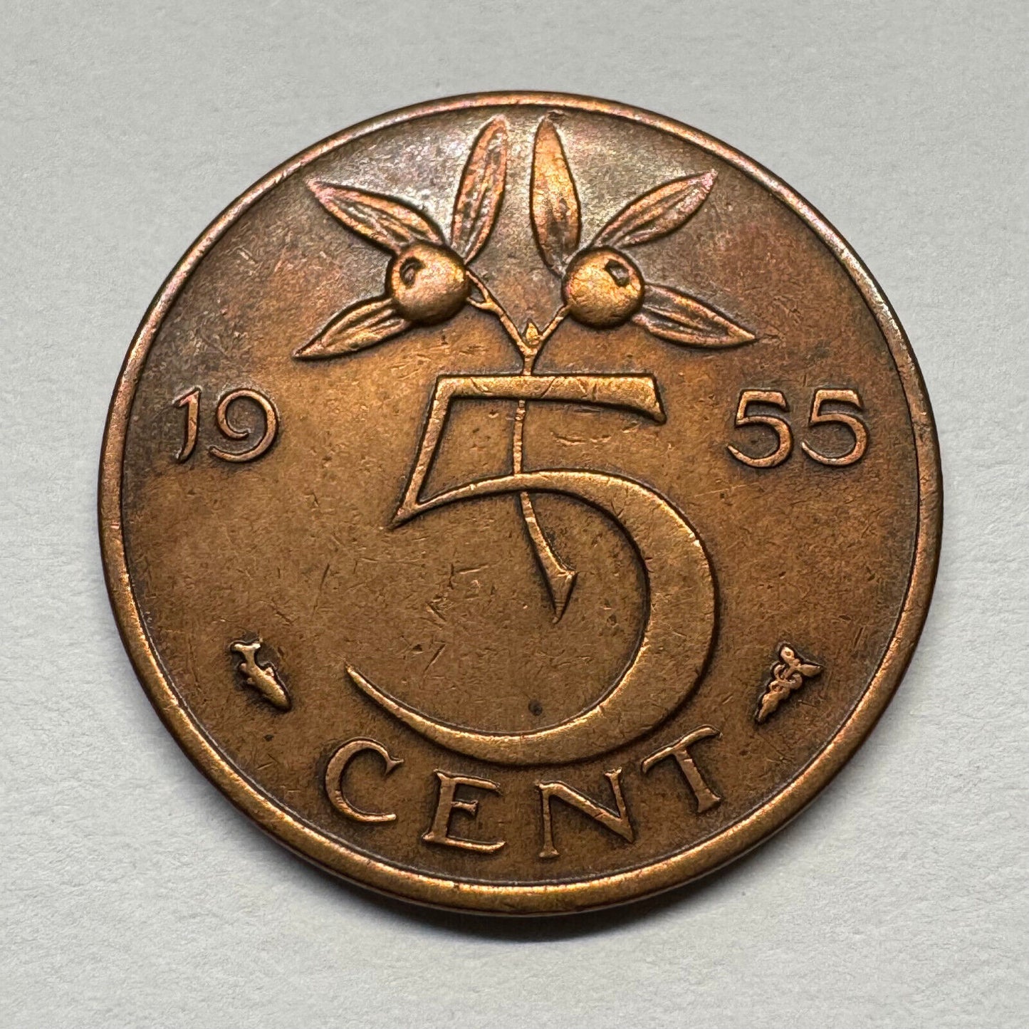 1955 Netherlands 5 Cents - Beautiful Coin - #B-057