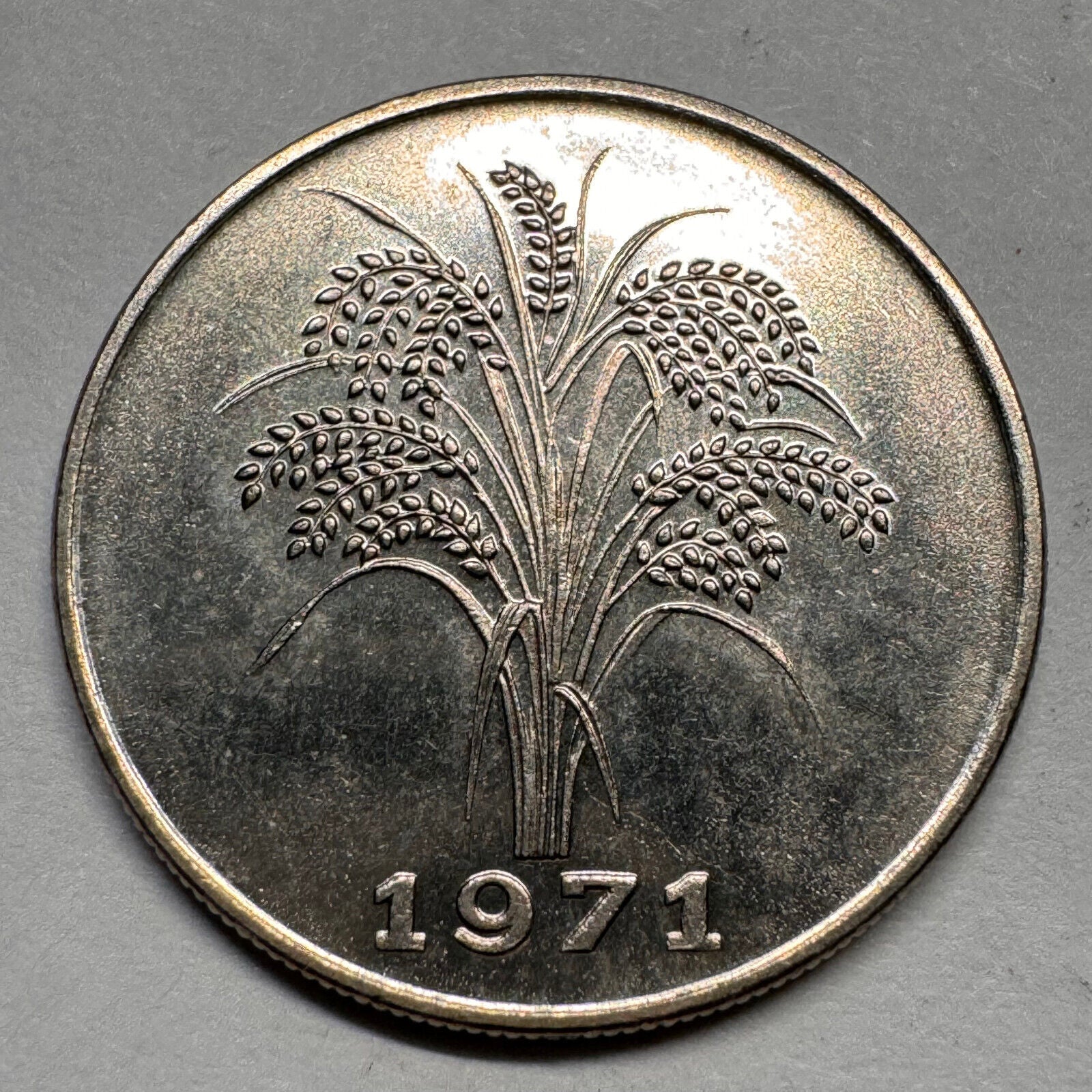 1971 Vietnam 1 Dong - Beautiful Coin - #A-036