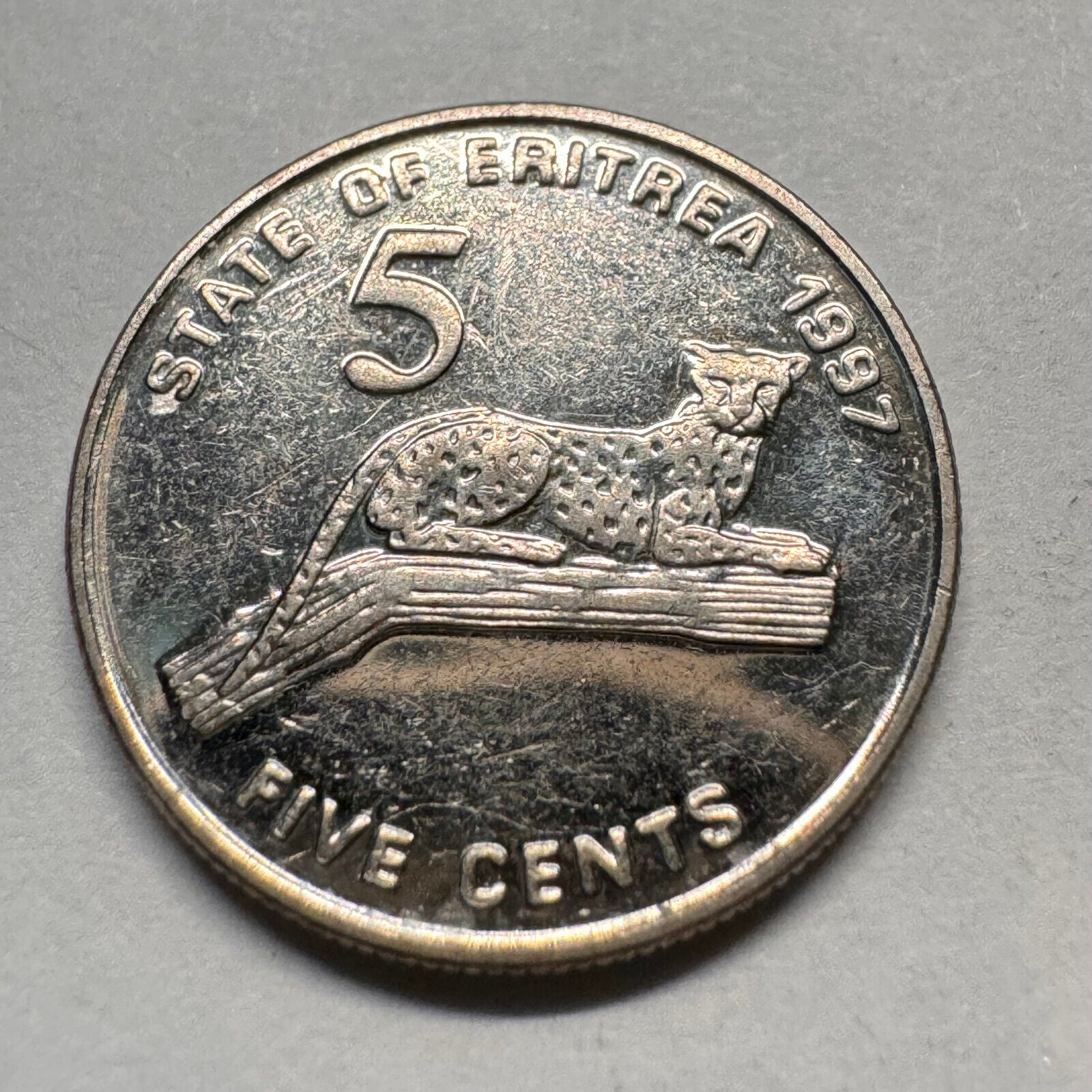 1997 Eritrea 5 Cents - Beautiful Coin - #A-026