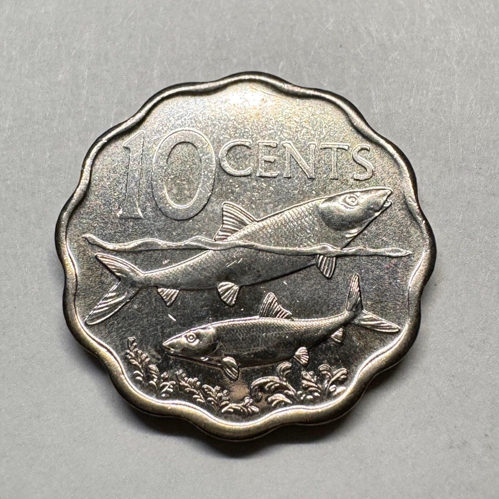 2007 Bahamas 10 Cents - Beautiful Coin - #A-016