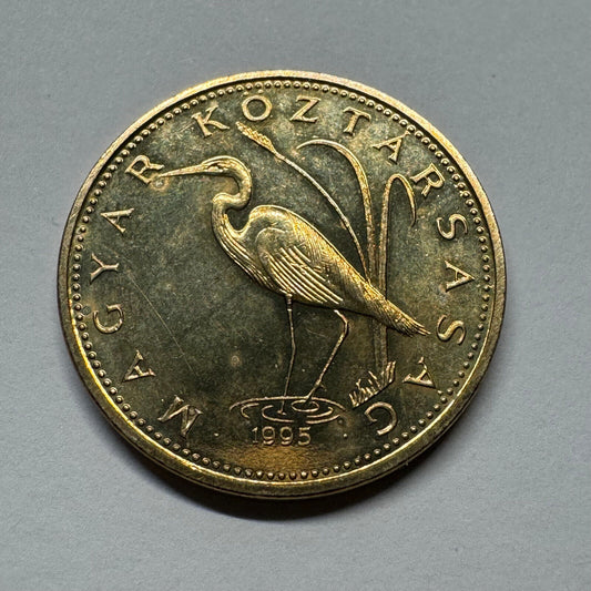 1995 Hungary 5 Forint - Beautiful Coin - #B-052