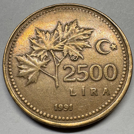 1991 Turkey 2500 Lira - Beautiful Coin - #A-029