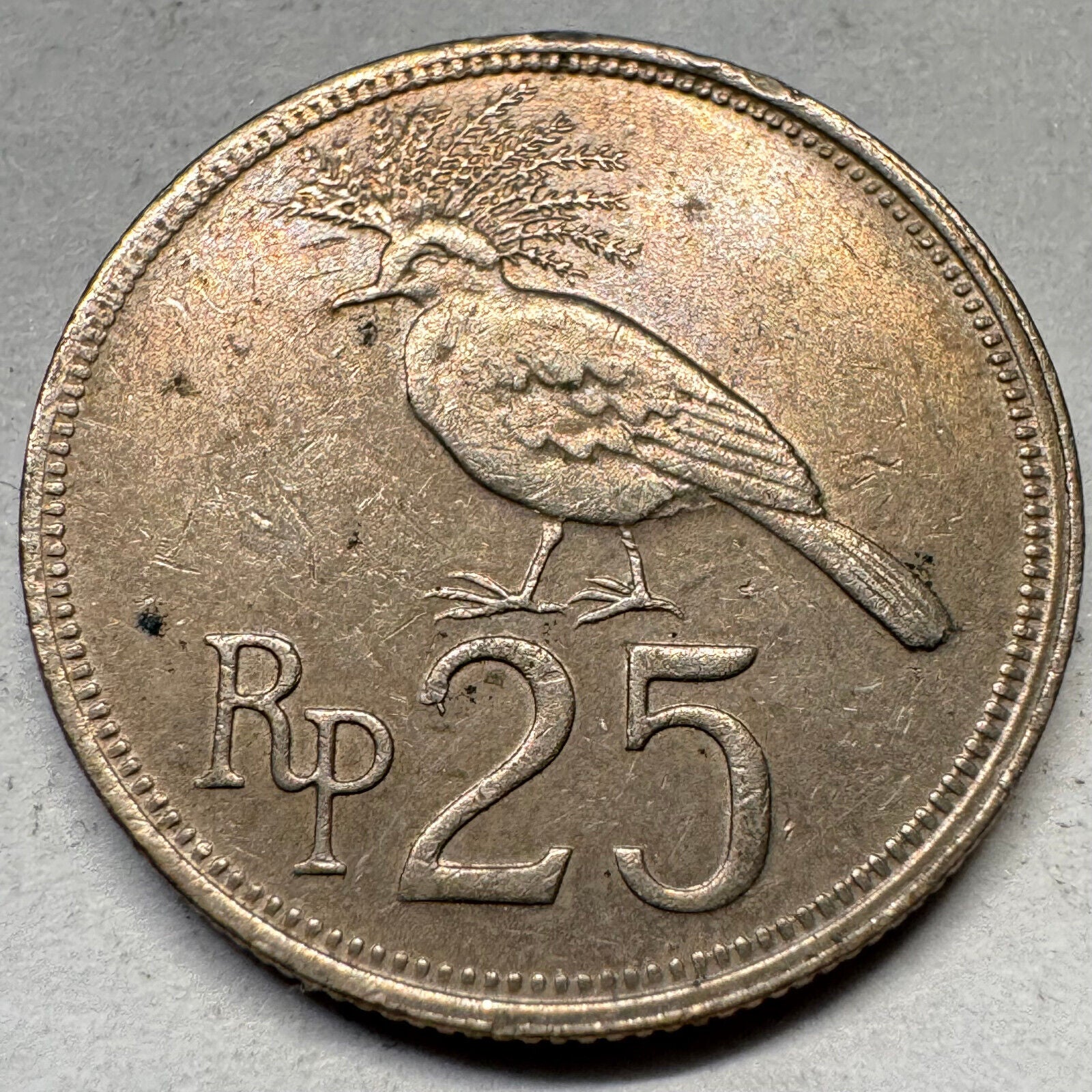 1971 Indonesia 25 Rupiah - Beautiful Coin - #A-032