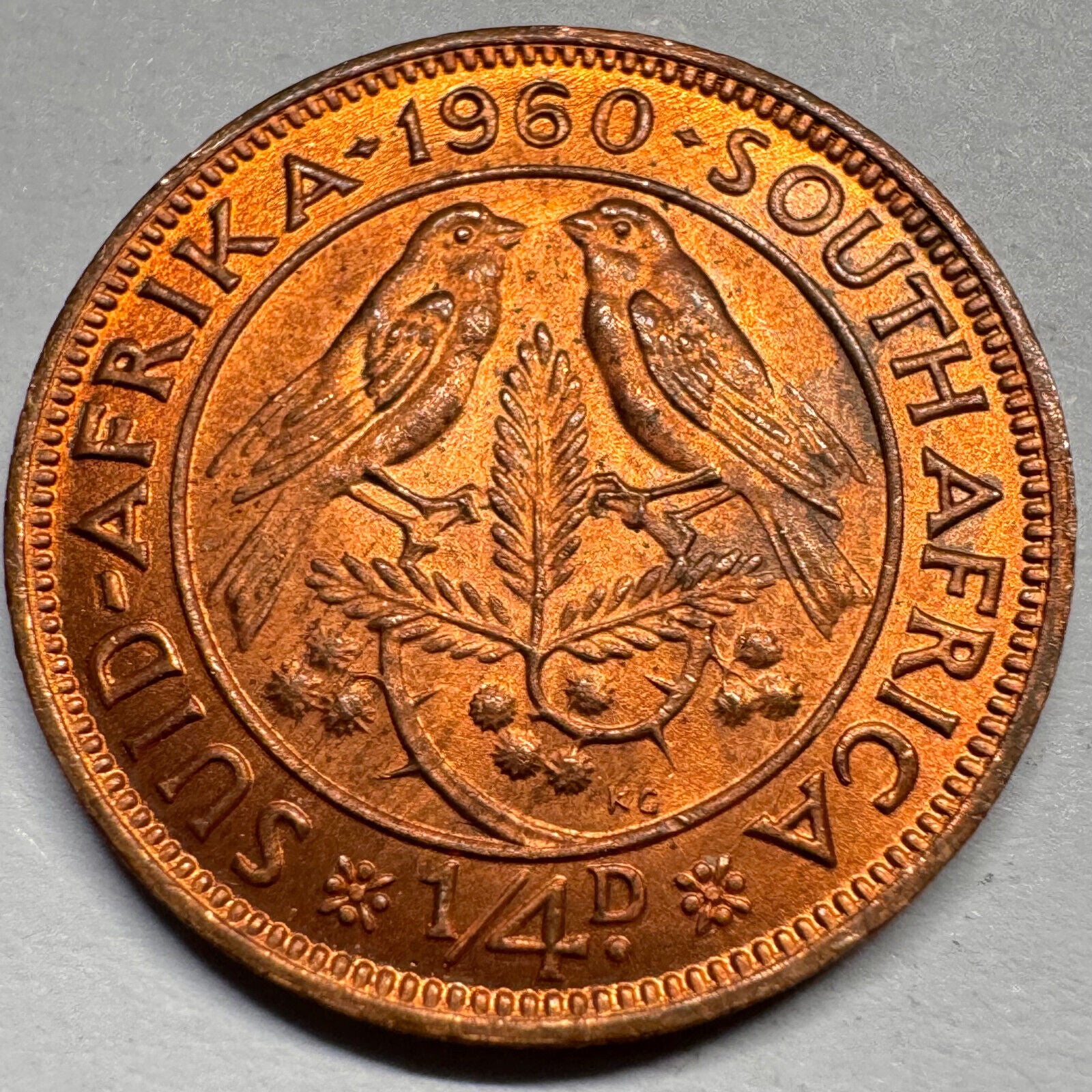 1960 South Africa 1/4 Penny - Beautiful Coin - #A-020