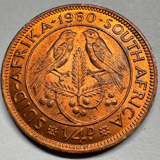 1960 South Africa 1/4 Penny - Beautiful Coin - #A-020