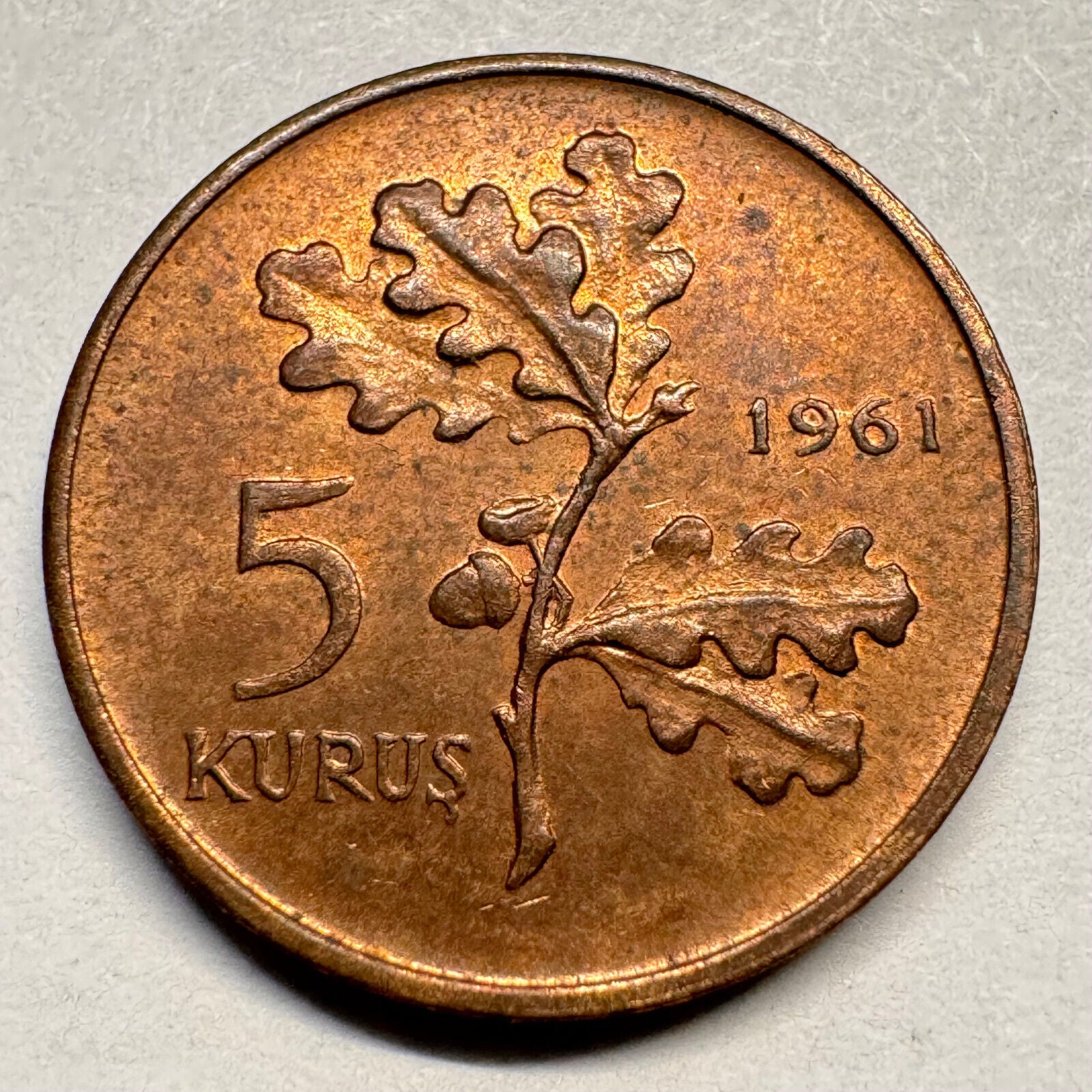 1961 Turkey 5 Kurus - Beautiful Coin - #A-038